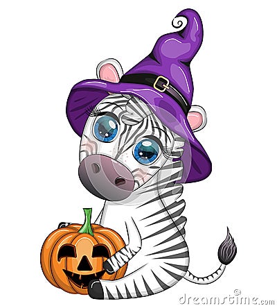 Cute zebra in witch hat, with broom, pumpkin jack, magic potion. Poster, card, label and decoration for Halloween Vector Illustration