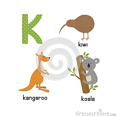 Cute zoo alphabet in vector. K letter. Funny cartoon animals: kangaroo, koala, kiwi bird Vector Illustration