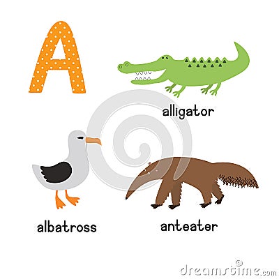 Cute zoo alphabet in vector. A letter. Funny cartoon animals: Albatross,alligator,anteater Vector Illustration