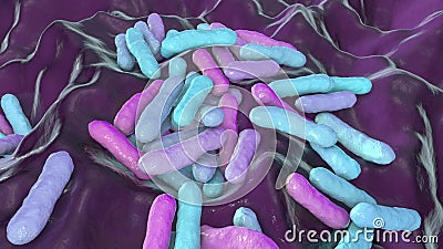 Cutibacterium acnes, formely Propionibacterium acnes Cartoon Illustration