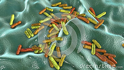 Cutibacterium acnes, formely Propionibacterium acnes Cartoon Illustration