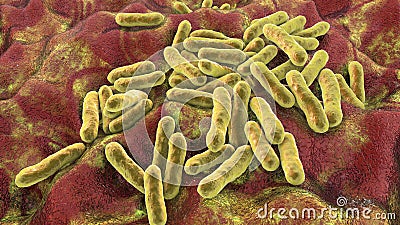 Cutibacterium acnes, formely Propionibacterium acnes Cartoon Illustration