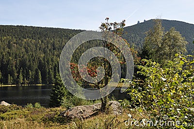 Cutout of the Kleiner Arbersee with view to the Groï¿½er Arber Stock Photo