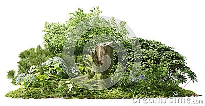 Cutout mossy stump surrounded by vegetation Stock Photo