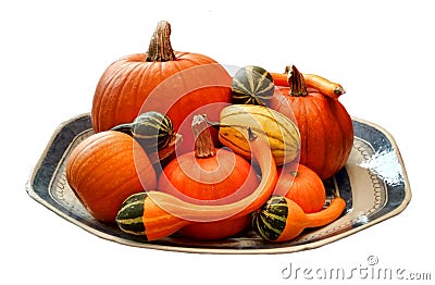 Cutout of pumpkins, ornamental gourds and a delicata squash on a ceramic platter. Stock Photo