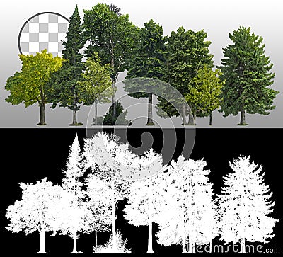 Cutout tree line. Coniferous and decidious Stock Photo