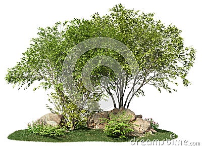 Group of deciduous trees among the rocks. Stock Photo