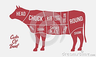 Cuts of Beef. Meat cuts. Cow silhouette isolated on white background. Vintage poster for meat, butcher shop. Vector Illustration