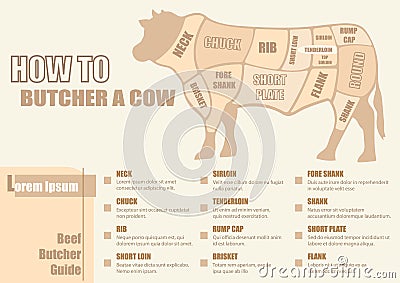 Cuts of Beef Diagram Vector Illustration