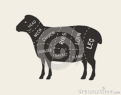 Cuts of meat, lamb. Butcher shop, meat vector illustration Vector Illustration