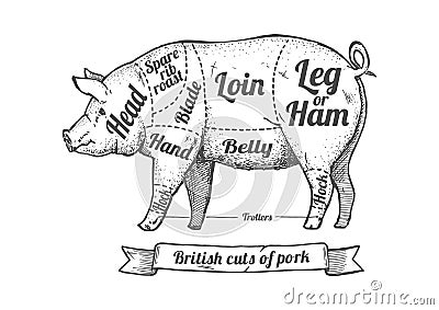 Cuts of pork Vector Illustration