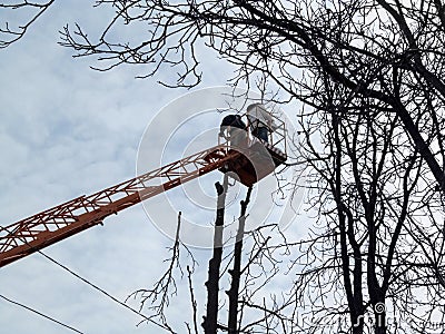 Cutted off branch flies down, and aerial platform with workers on background of electrical wires. Spring-autumn-winter background Stock Photo