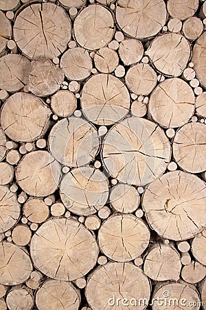 Cutted wooden logs Stock Photo