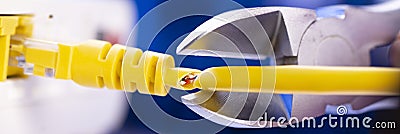 A cutter for cutting a network cable cuts a cable close-up Stock Photo