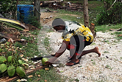 Cutting coconut Editorial Stock Photo