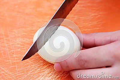 Cutting cooked egg Stock Photo