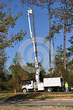 Cutting a dead tree down Editorial Stock Photo