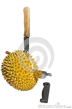 Cutting a durian fruit. Stock Photo