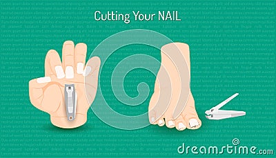 Cutting hand and foot nail. body part beautiful color. illustration eps10 Vector Illustration