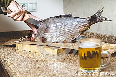 Cutting large sluggish fish. Near mug of beer Stock Photo