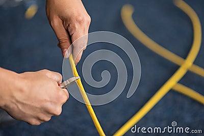 Cutting of the network cable with cutters, process of laying the local network. Set Stock Photo