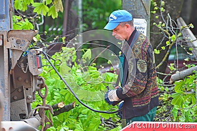 Cutting Trees Servises in the City Editorial Stock Photo