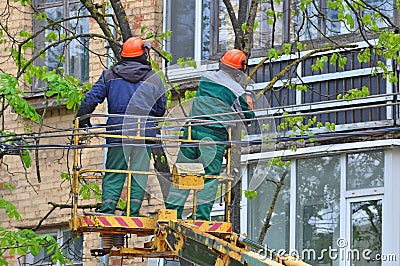 Cutting Trees Servises in the City Editorial Stock Photo
