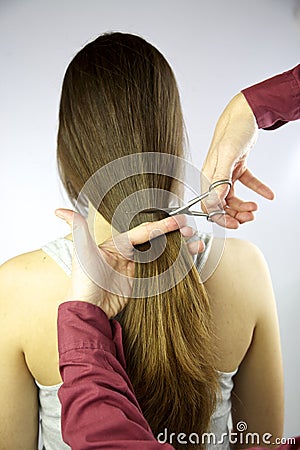 Cutting Very Long Hair Stock Photography - Image: 23906262