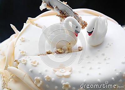 Cutting The Wedding Cake Stock Photo - Image: 28440880