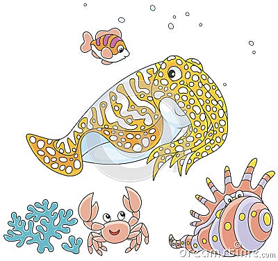 Cuttlefish, crab, shell and fish Vector Illustration