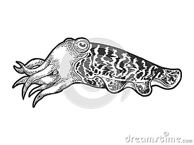 Cuttlefish sketch engraving vector illustration Vector Illustration