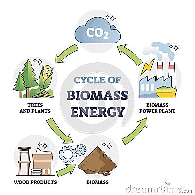 Cycle of biomass energy as direct combustion in power plant outline diagram Vector Illustration