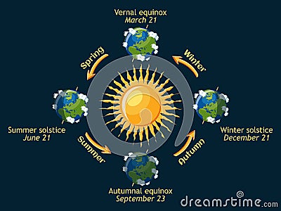 Cycle of Earth seasons of the year. Autumnal and vernal equinox, summer and winter solstice. Vector Illustration