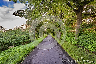 Cycle route with green sumer trees in fresh sunrise morning Stock Photo
