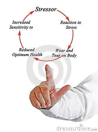 Cycle of stress Stock Photo