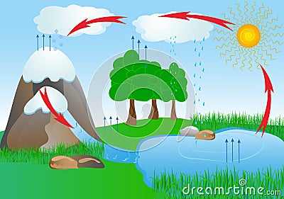 Cycle water in nature environment. oxygen Vector Illustration