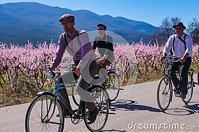 Cycling on the flowering peach trees in the Veria Plain, organized for the third time by the Veria Touristic Club Editorial Stock Photo