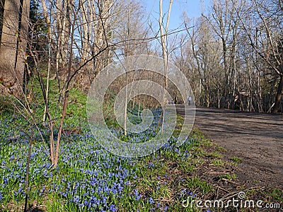 Cycling and jogging path Stock Photo