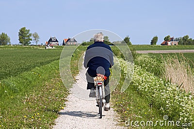 Cycling older man on Dutch countryside with Seawall Editorial Stock Photo