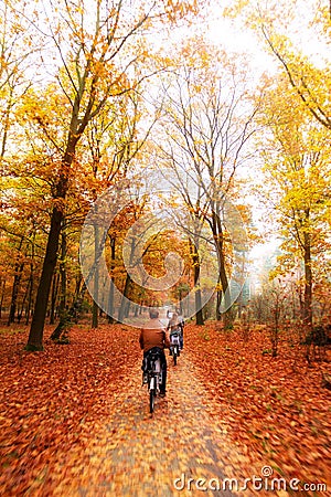 Veluwe autumn bicycle Stock Photo