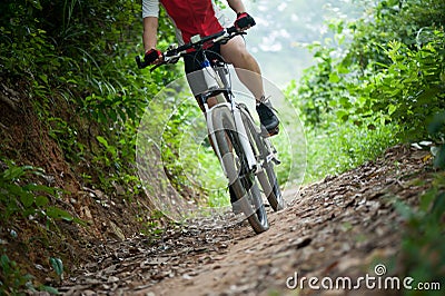 Cyclist legs riding Mountain Bike Stock Photo