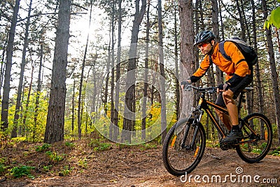 Cyclist in Orange Riding the Mountain Bike on the Trail in the Beautiful Pine Forest Lit by Bright Sun. Stock Photo