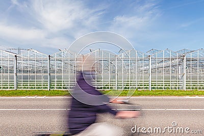 Cyclist passing a Dutch greenhouse on an asphalt road Stock Photo