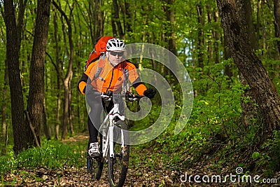 Cyclist Riding the Bike on a Trail in Summer Forest Stock Photo