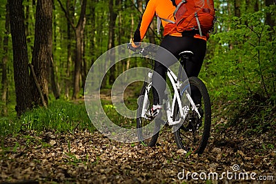 Cyclist Riding the Bike on a Trail in Summer Forest Stock Photo