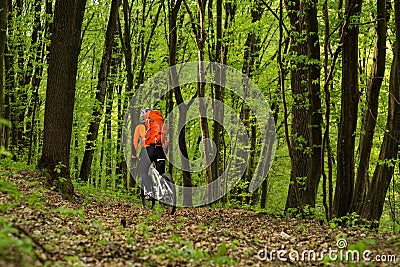 Cyclist Riding the Bike on a Trail in Summer Forest Stock Photo