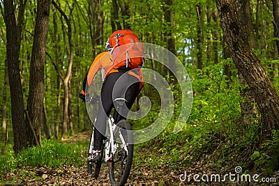 Cyclist Riding the Bike on a Trail in Summer Forest Stock Photo