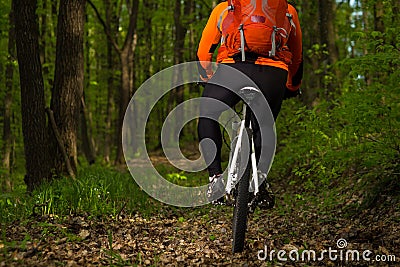 Cyclist Riding the Bike on a Trail in Summer Forest Stock Photo