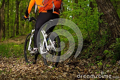 Cyclist Riding the Bike on a Trail in Summer Forest Stock Photo