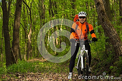 Cyclist Riding the Bike on a Trail in Summer Forest Stock Photo